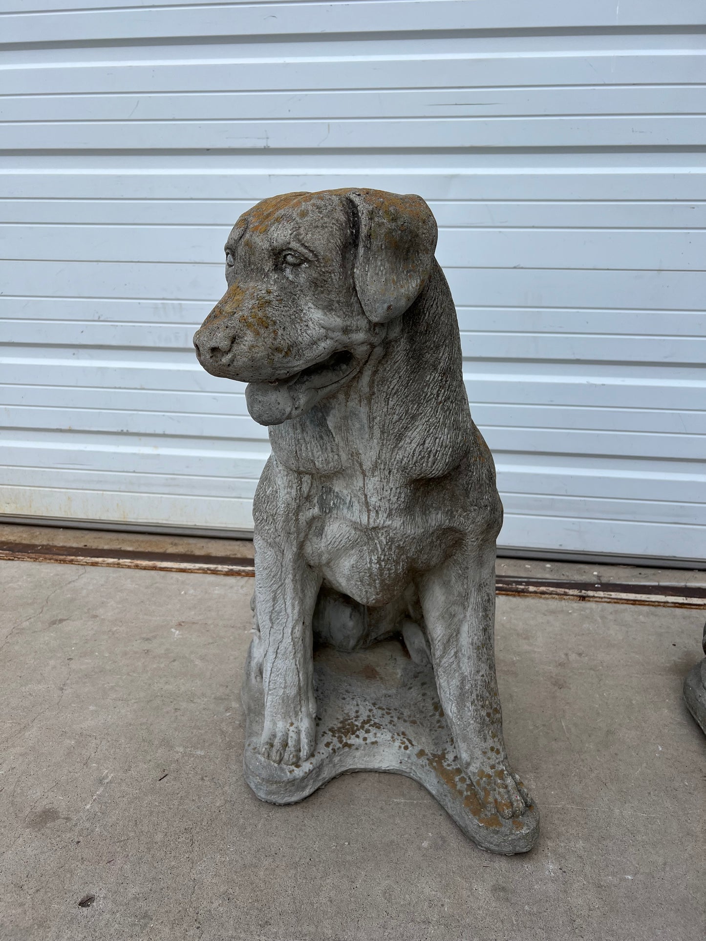 English Concrete Labrador Dog Statue
