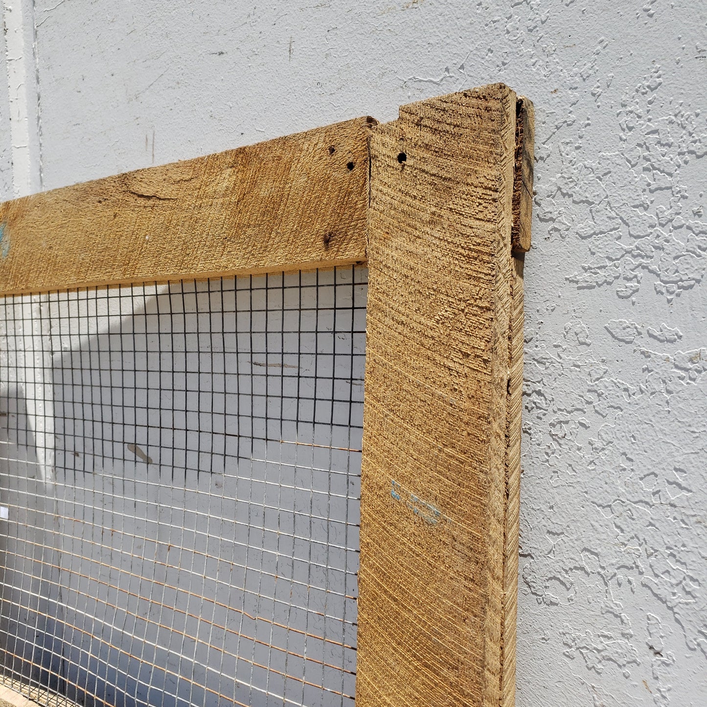 Vintage Horse Stall Door with Screen