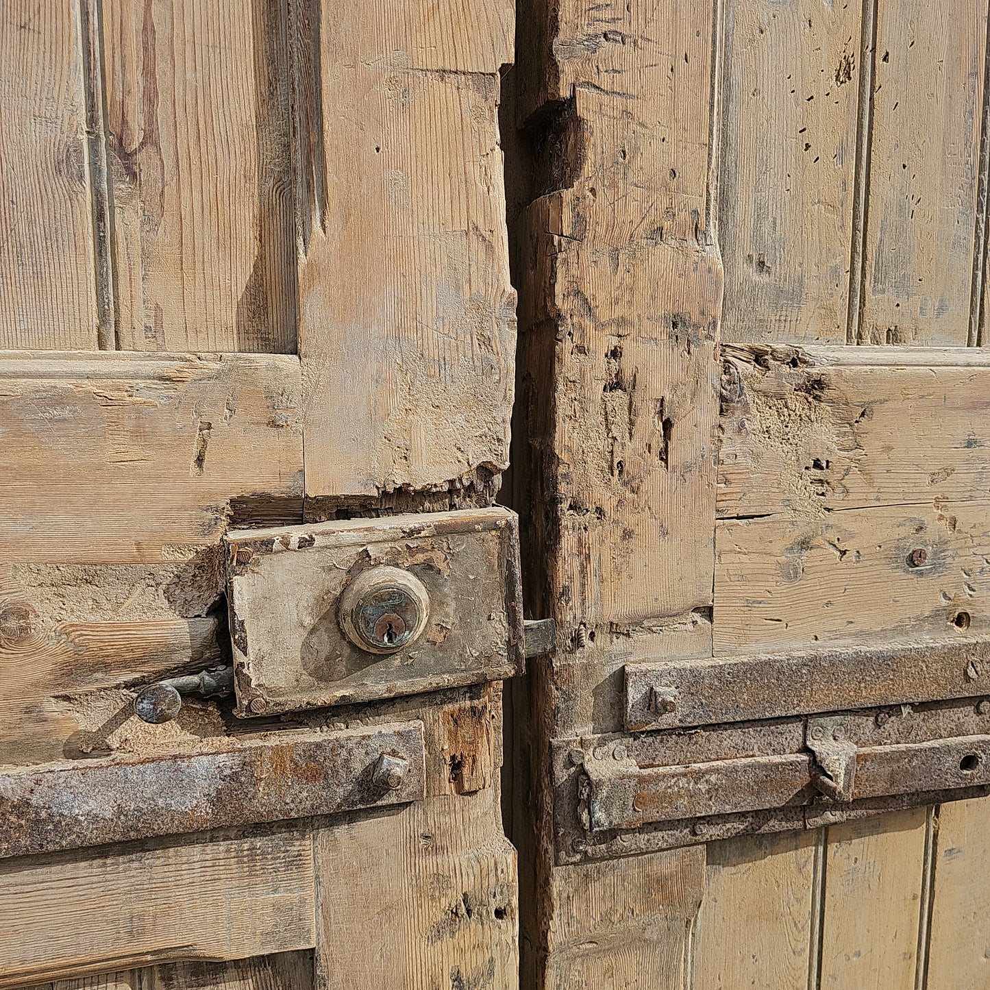 Pair of Carved Wood Panel Doors