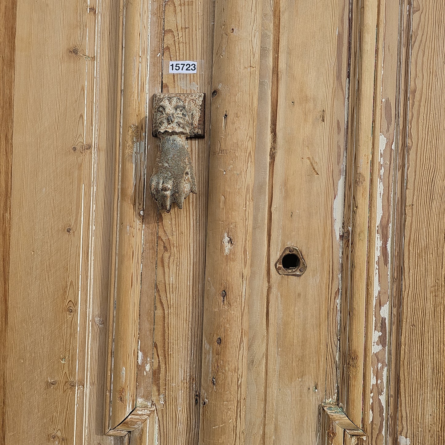 Pair of Carved Wood Panel Doors