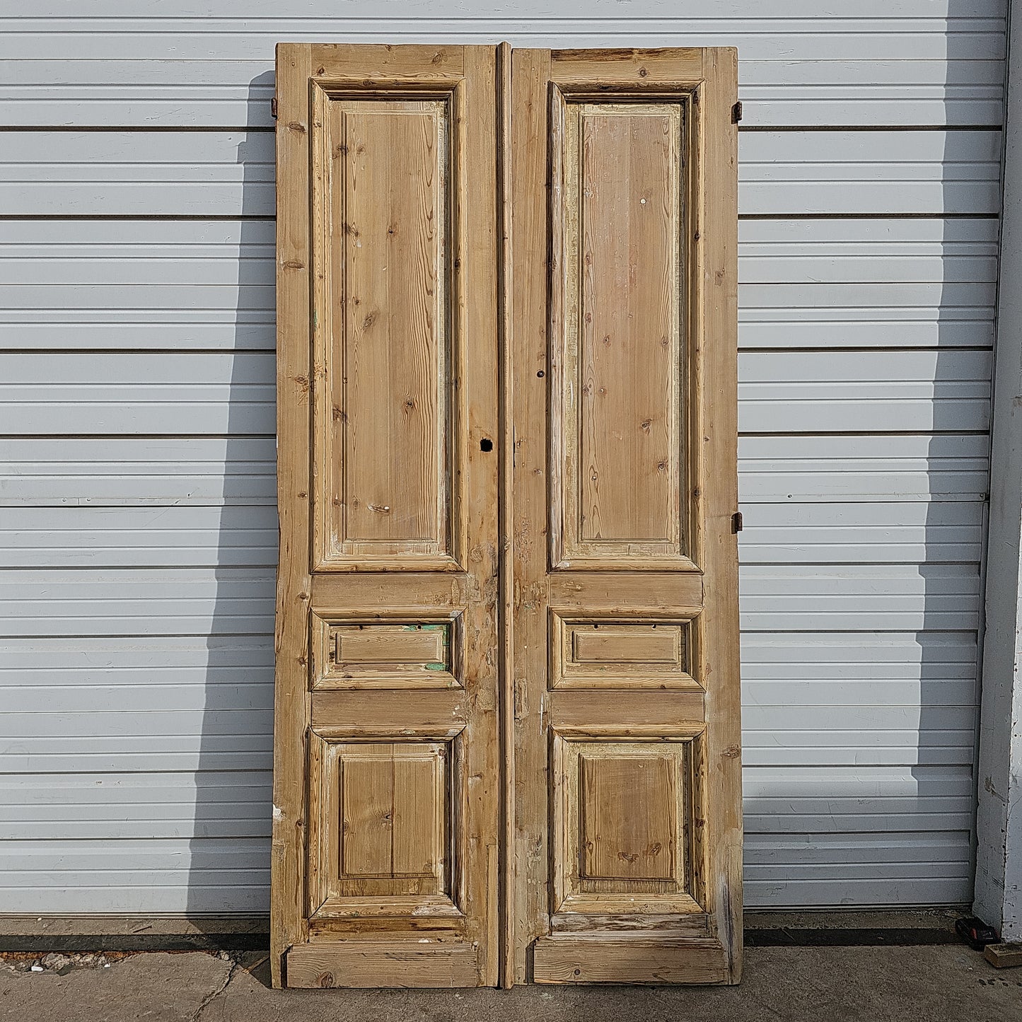 Pair of Carved Wood Panel Doors