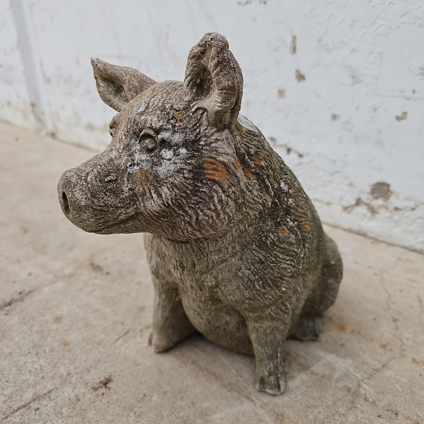 Concrete Pig Statue