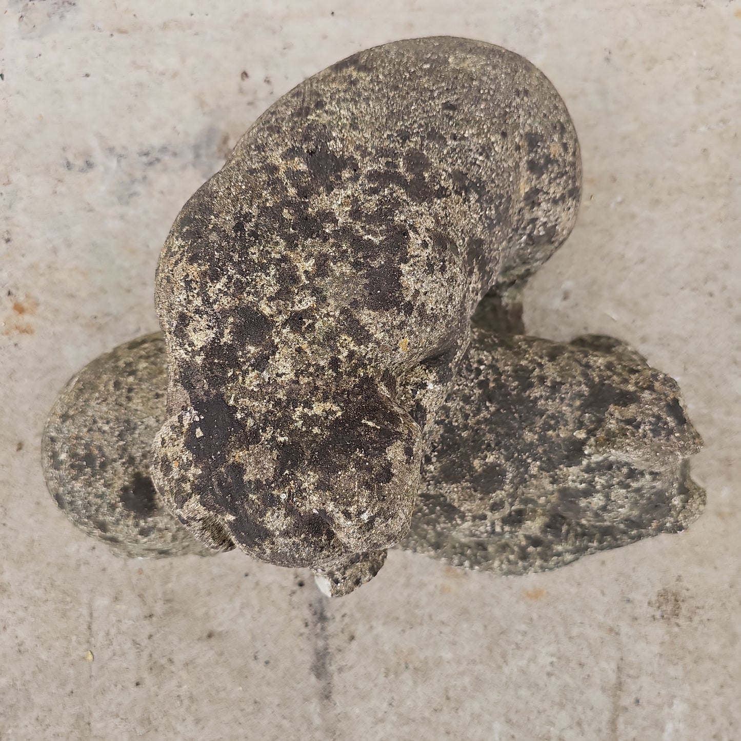 Concrete Pig Pair Statue