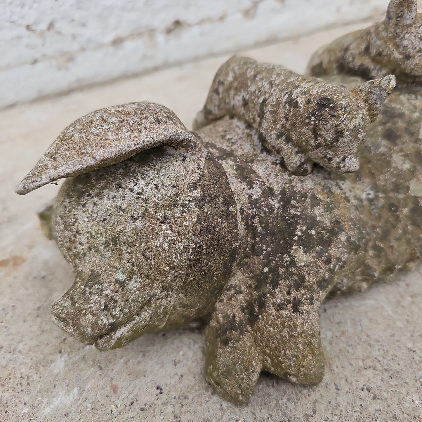 Concrete Pig Statue with Babies