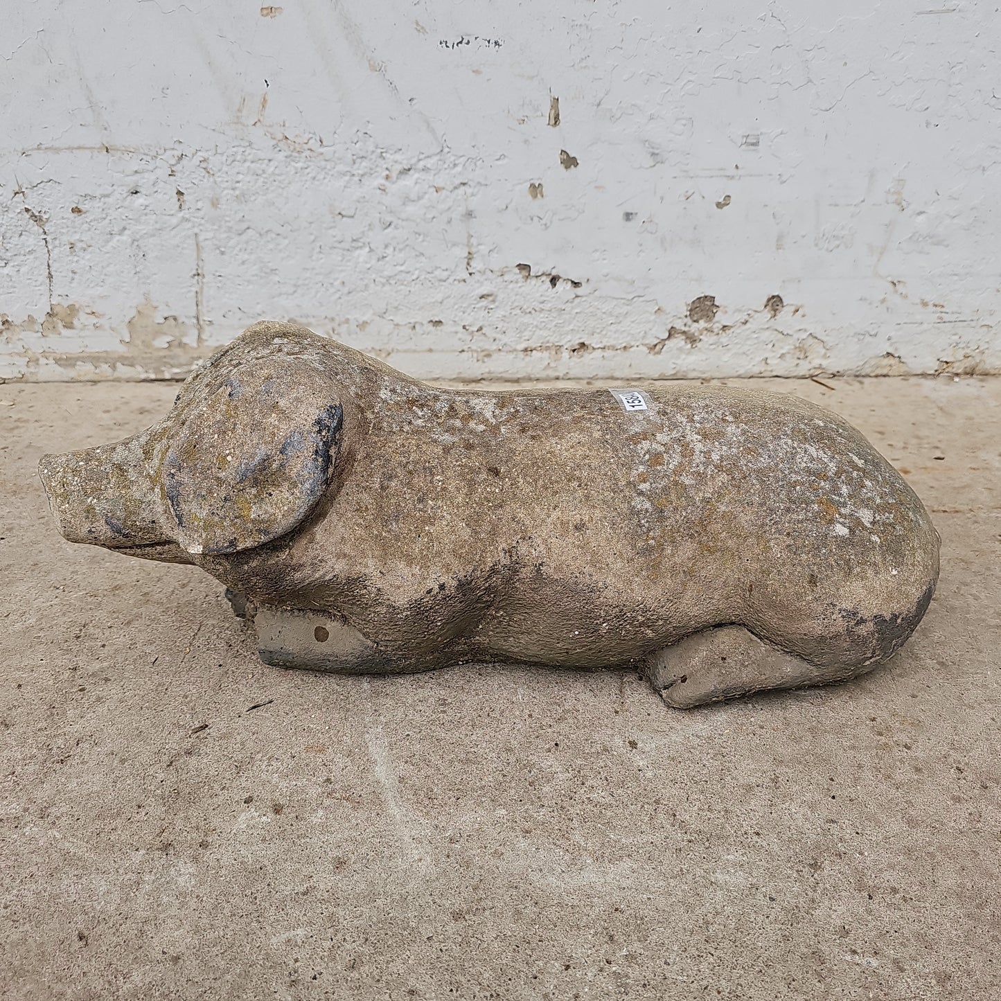 Concrete Pig Statue