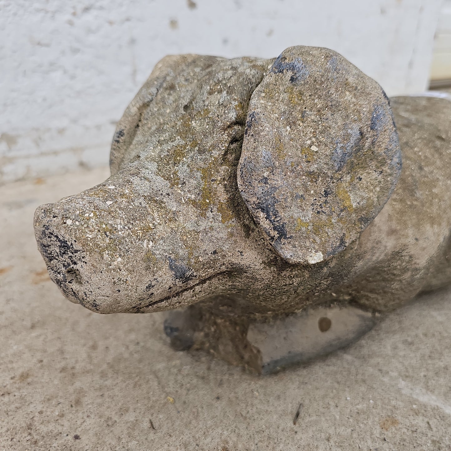 Concrete Pig Statue