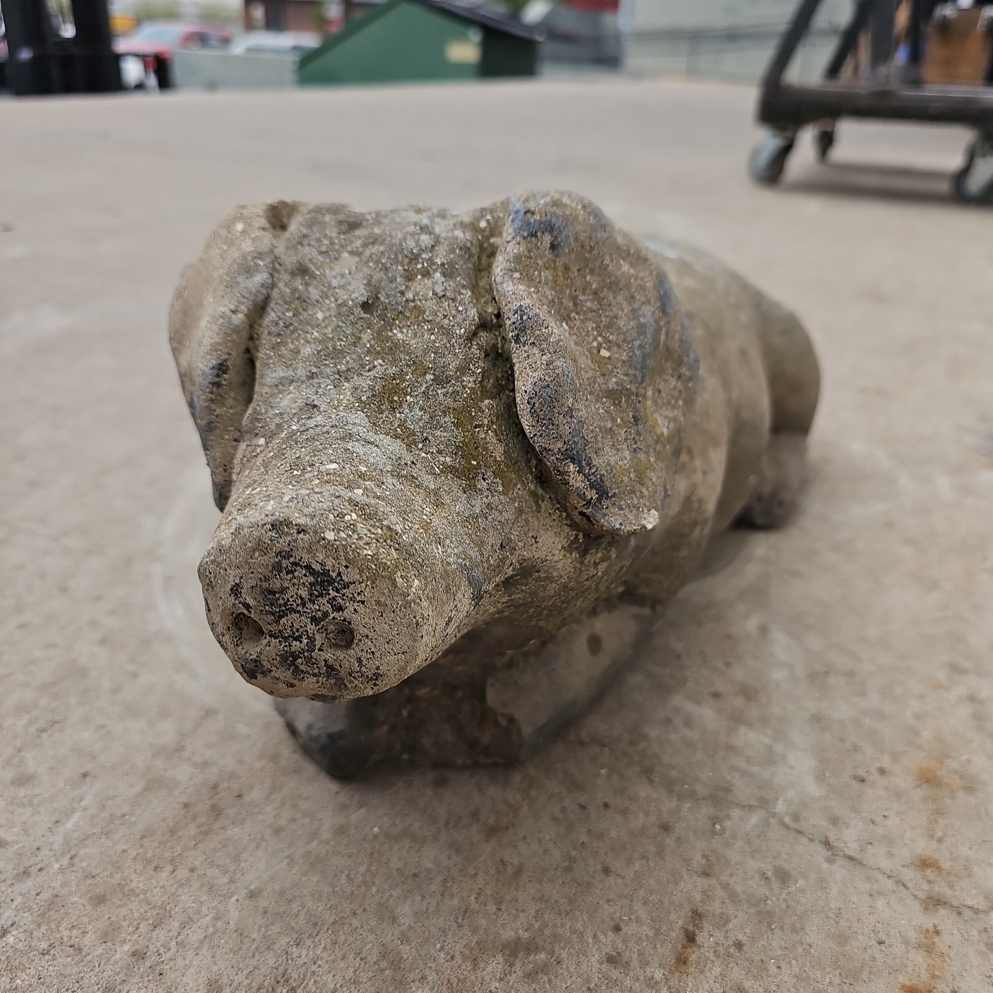 Concrete Pig Statue