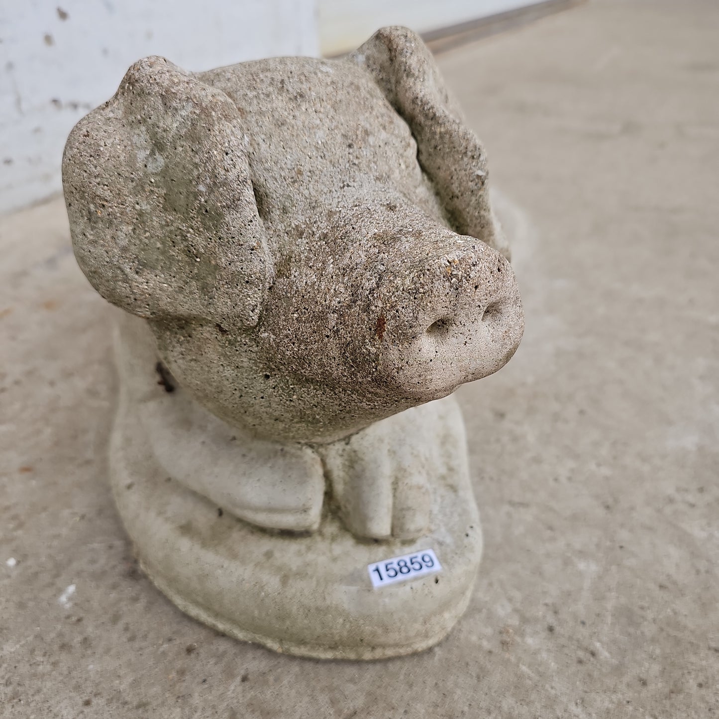 Concrete Pig Statue