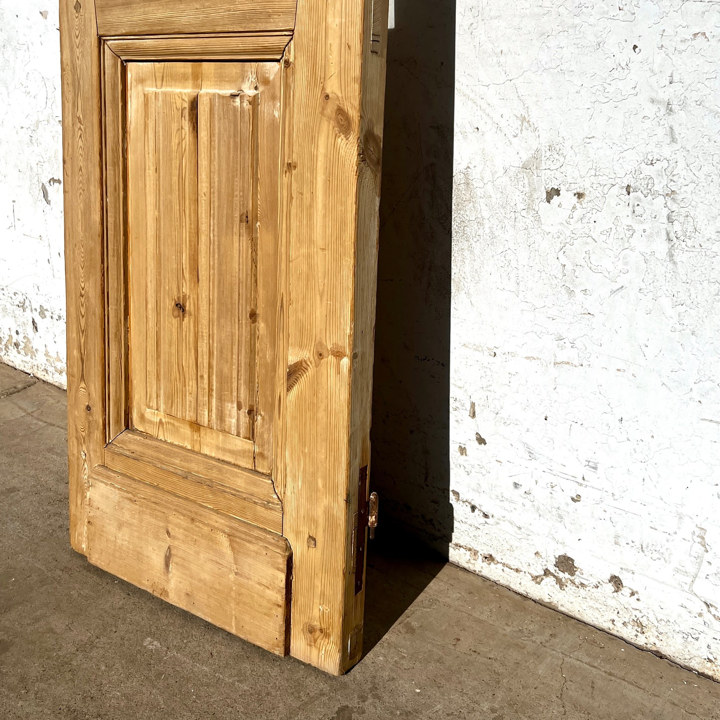 Single Wood French Door w/20 Glass Lites
