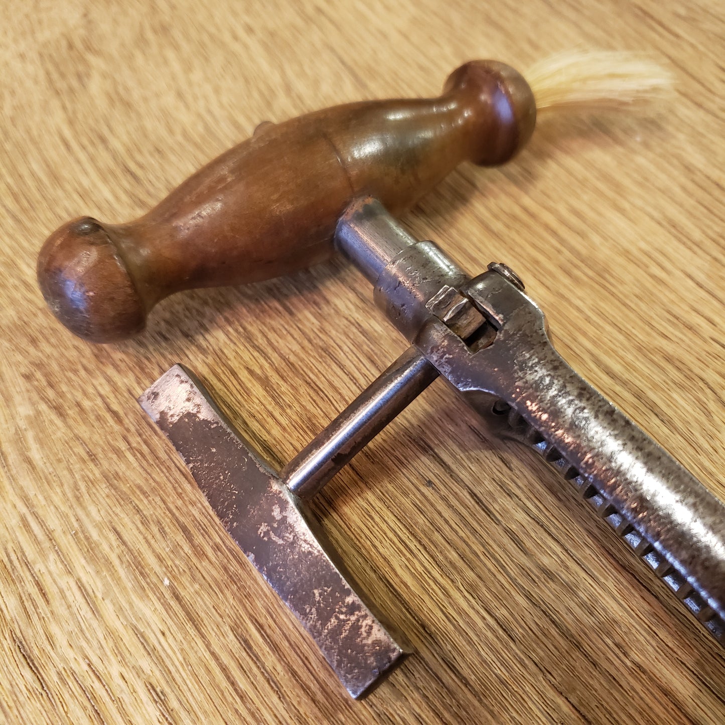 Antique French Wine Opener