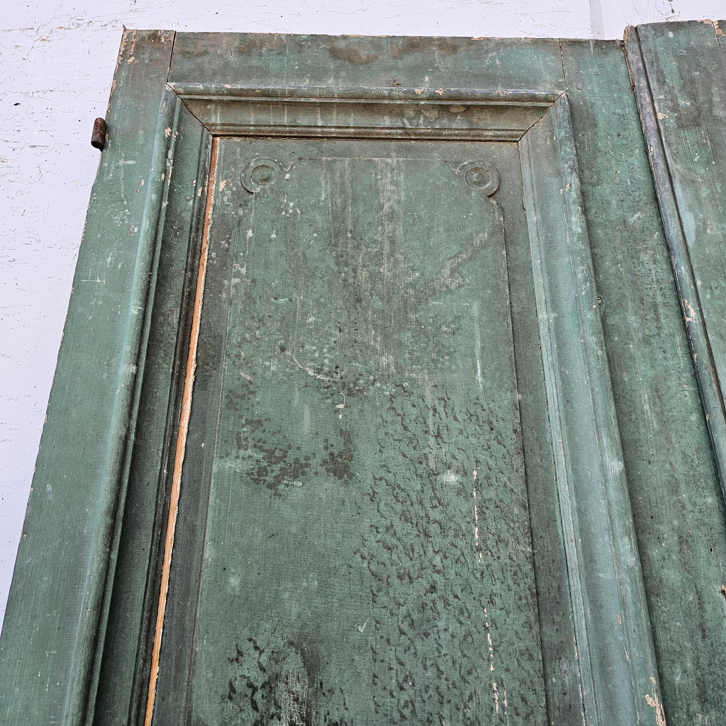 Pair of Napoleon III Doors