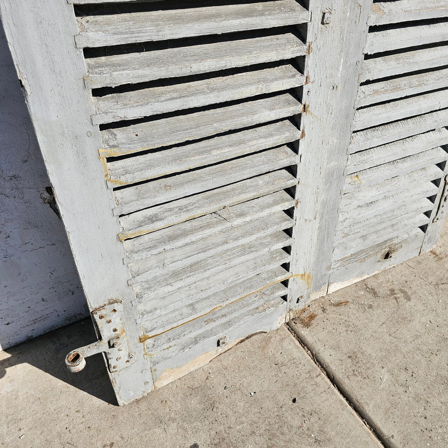 Pair of French Painted Shutters