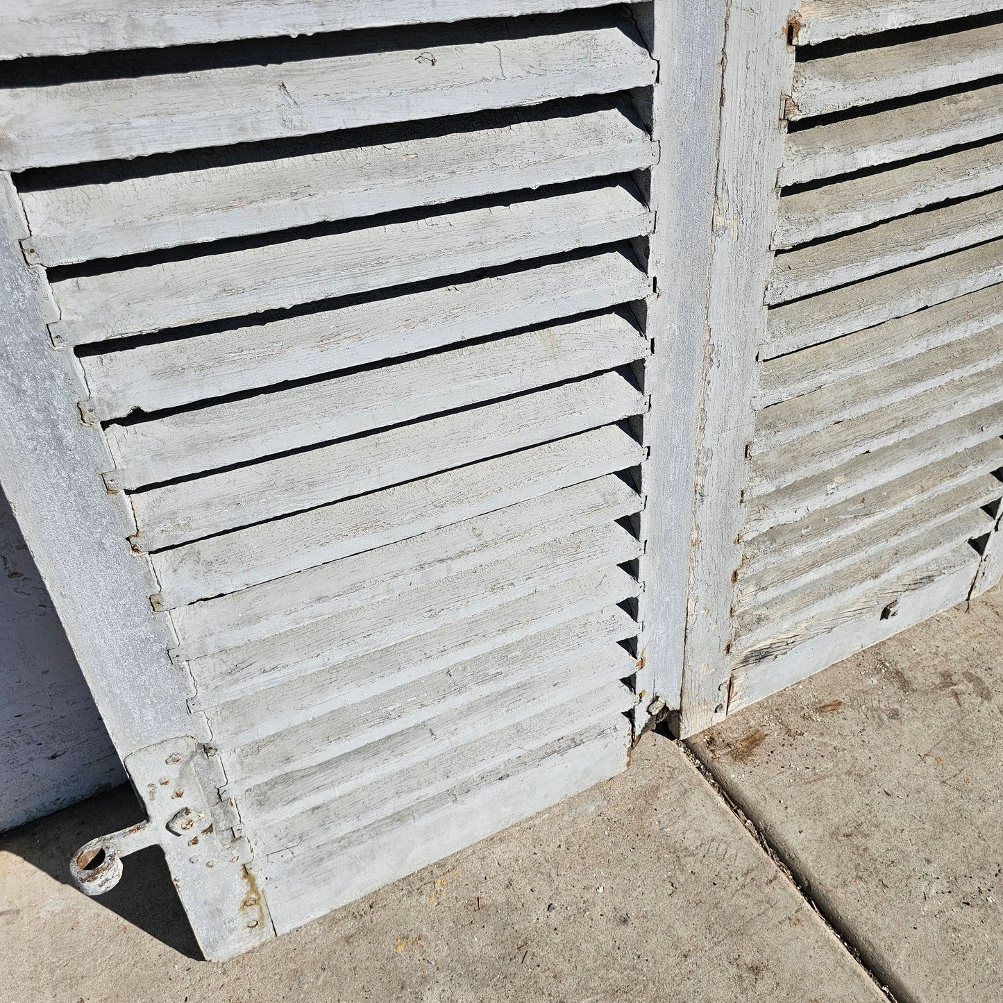 Pair of French Painted Shutters