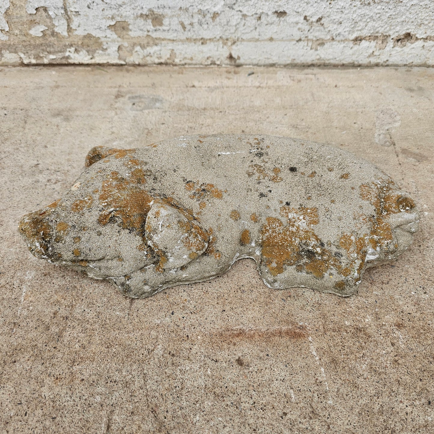 Concrete Pig