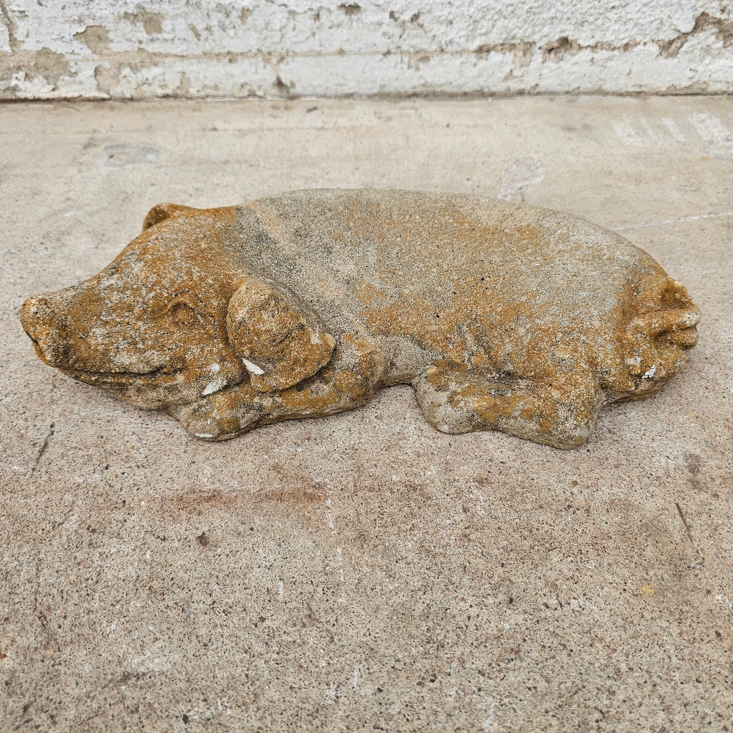 Concrete Pig