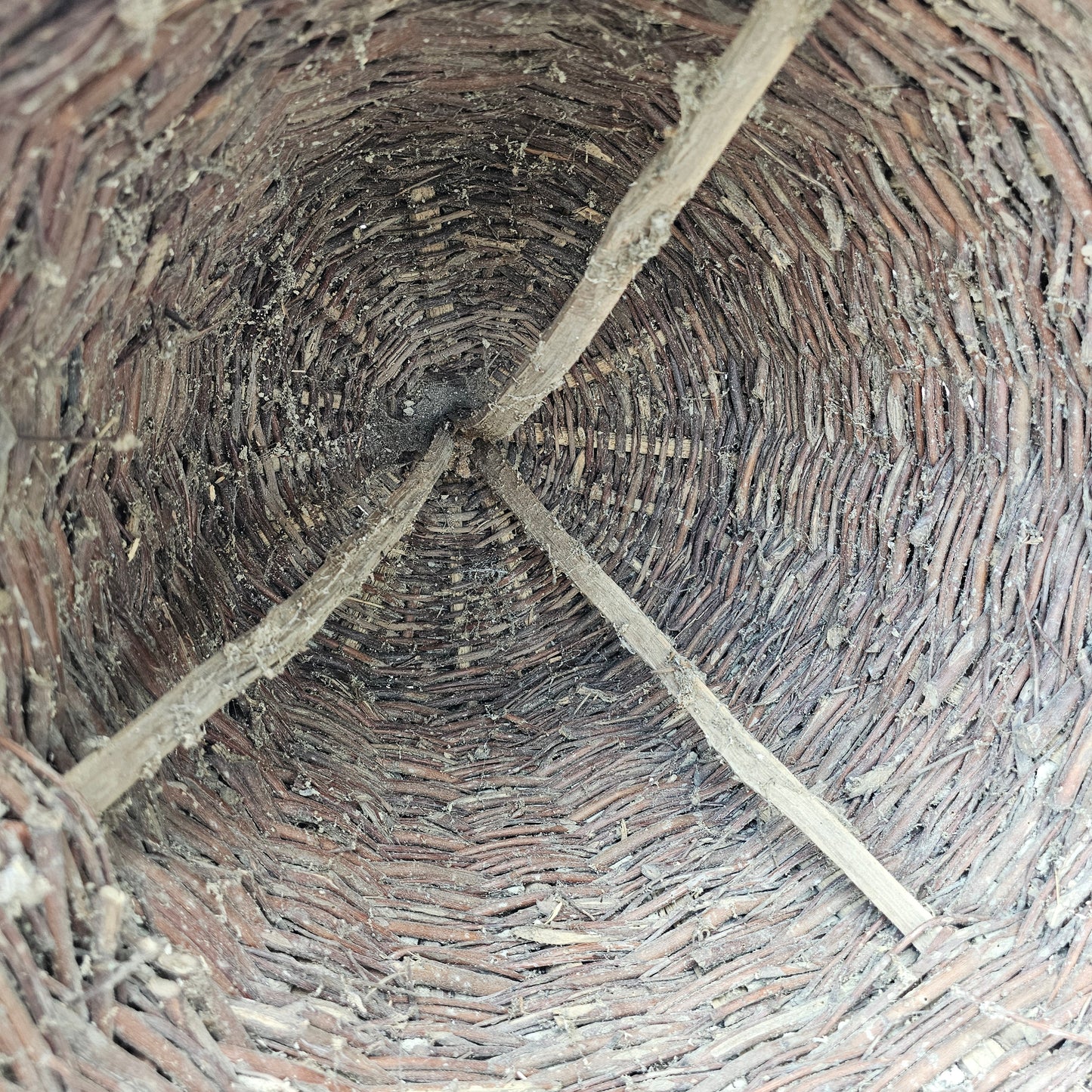 Antique Bee Skep