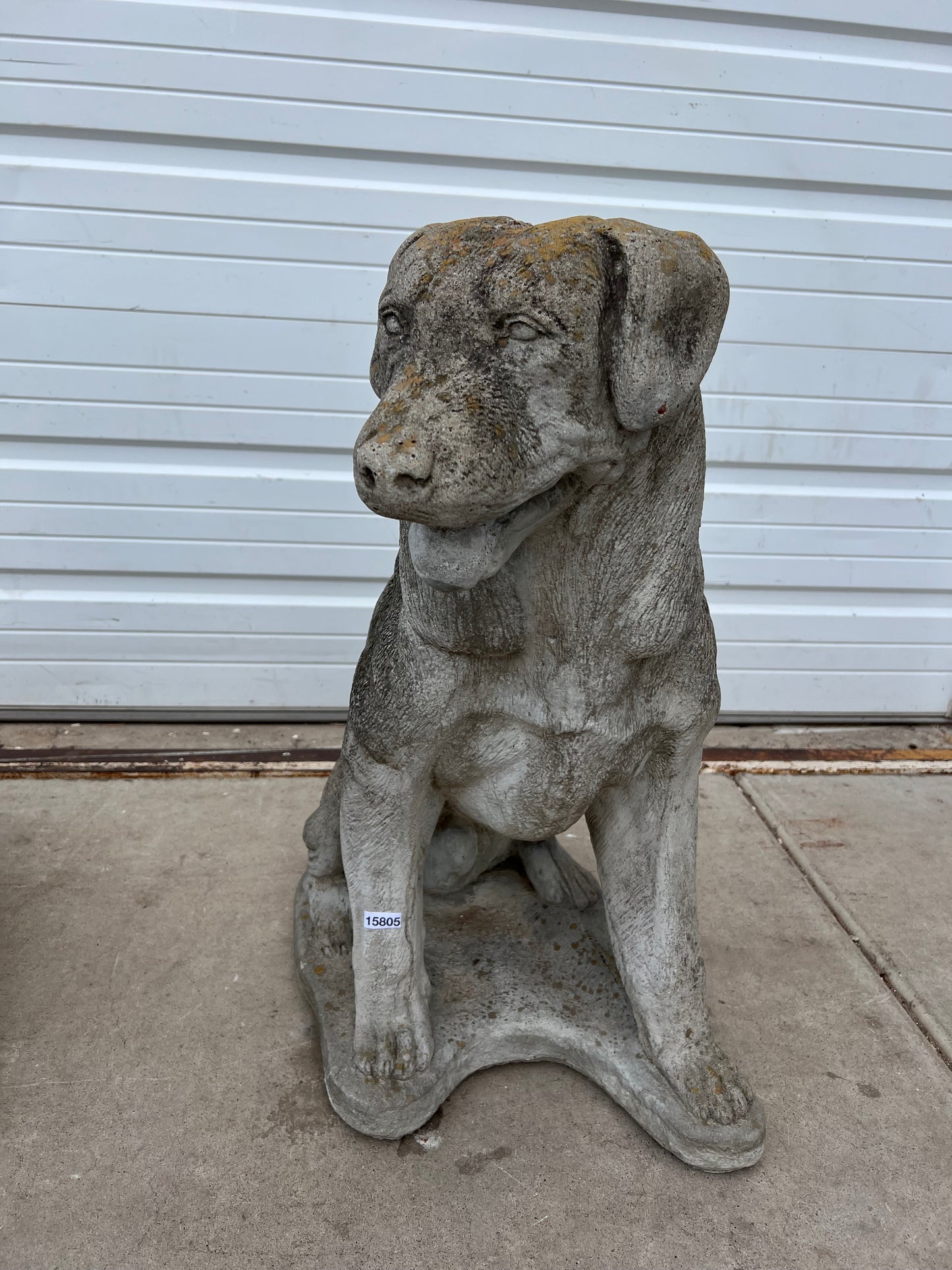 English Concrete Labrador Dog Statue