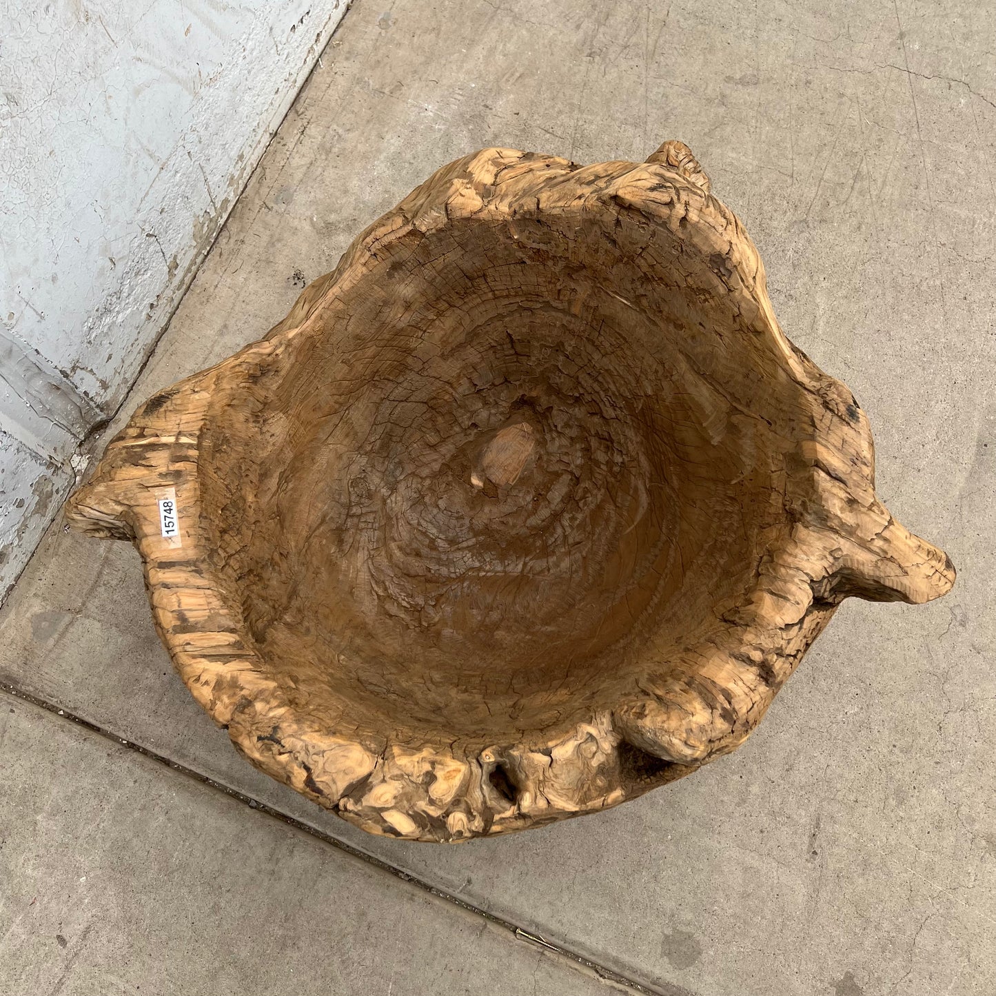 XXL Carved Wood Bowl/Planter