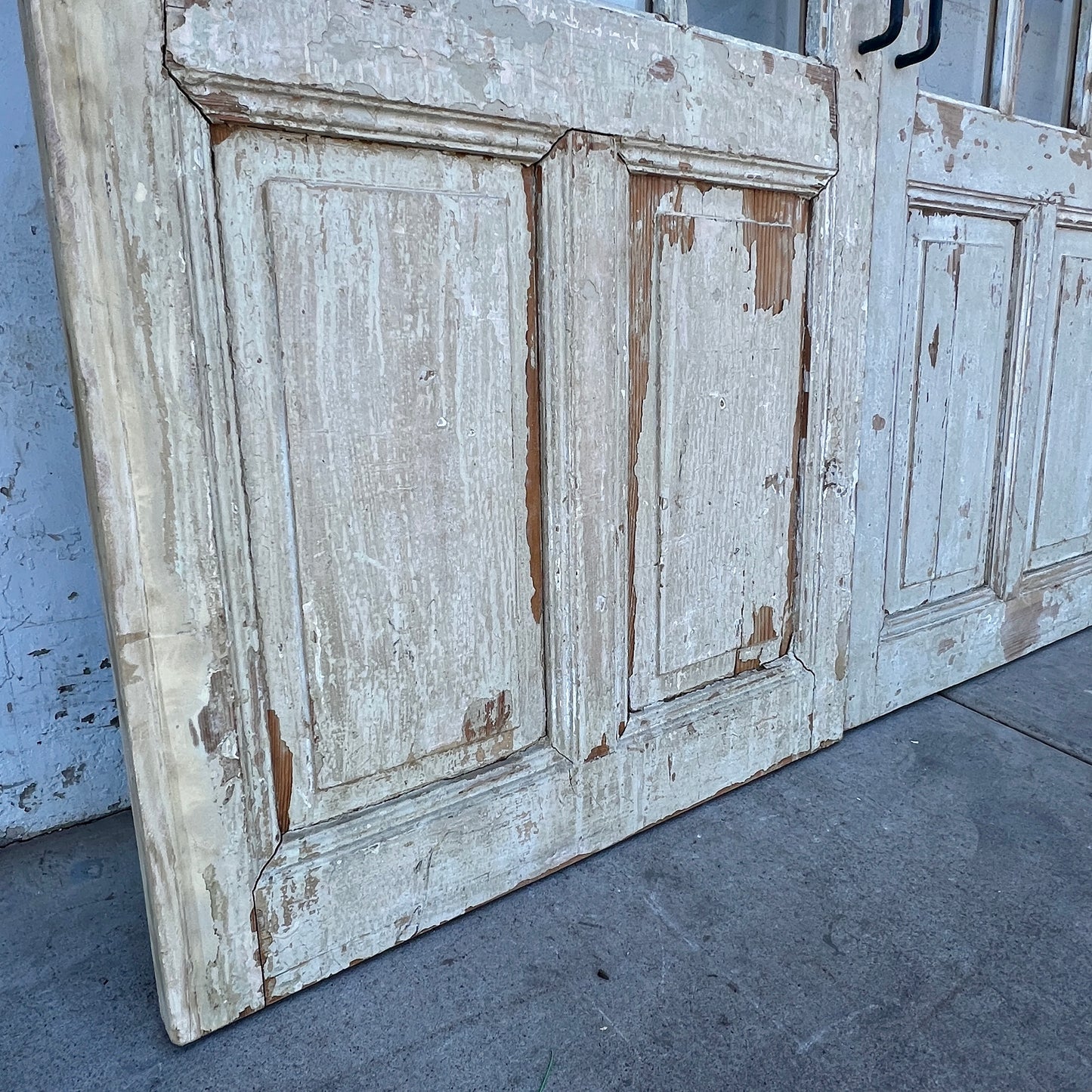 Pair of 2 Panel 15 Lite Painted Wood French Antique Doors