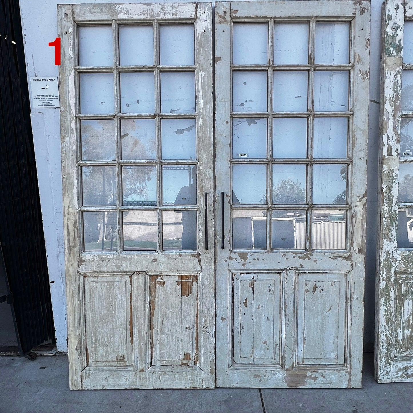 Pair of 2 Panel 15 Lite Painted Wood French Antique Doors