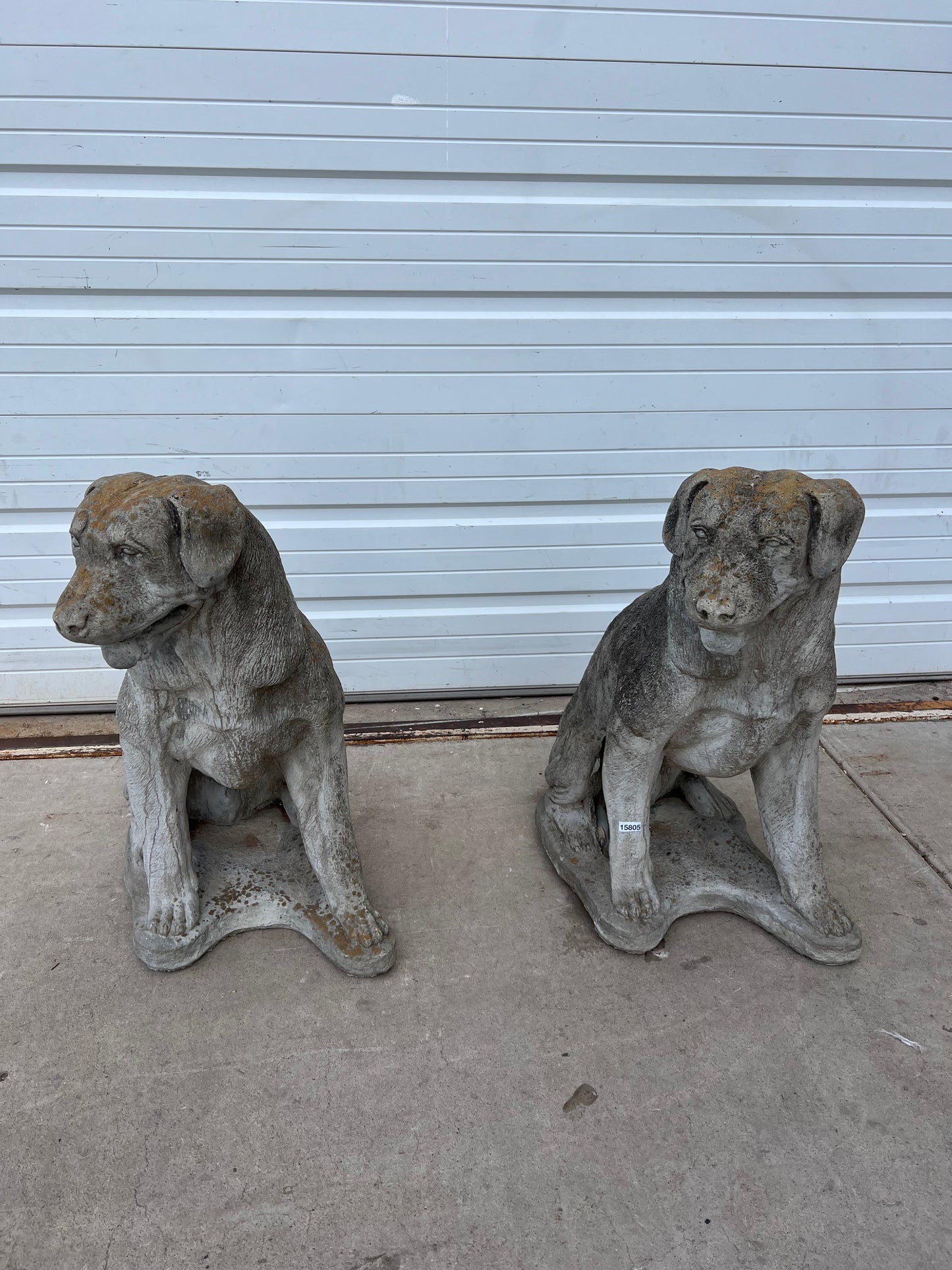 English Concrete Labrador Dog Statue