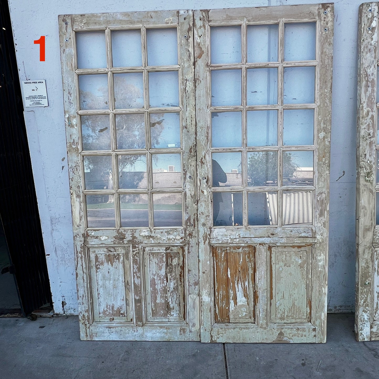 Pair of 2 Panel 15 Lite Painted Wood French Antique Doors