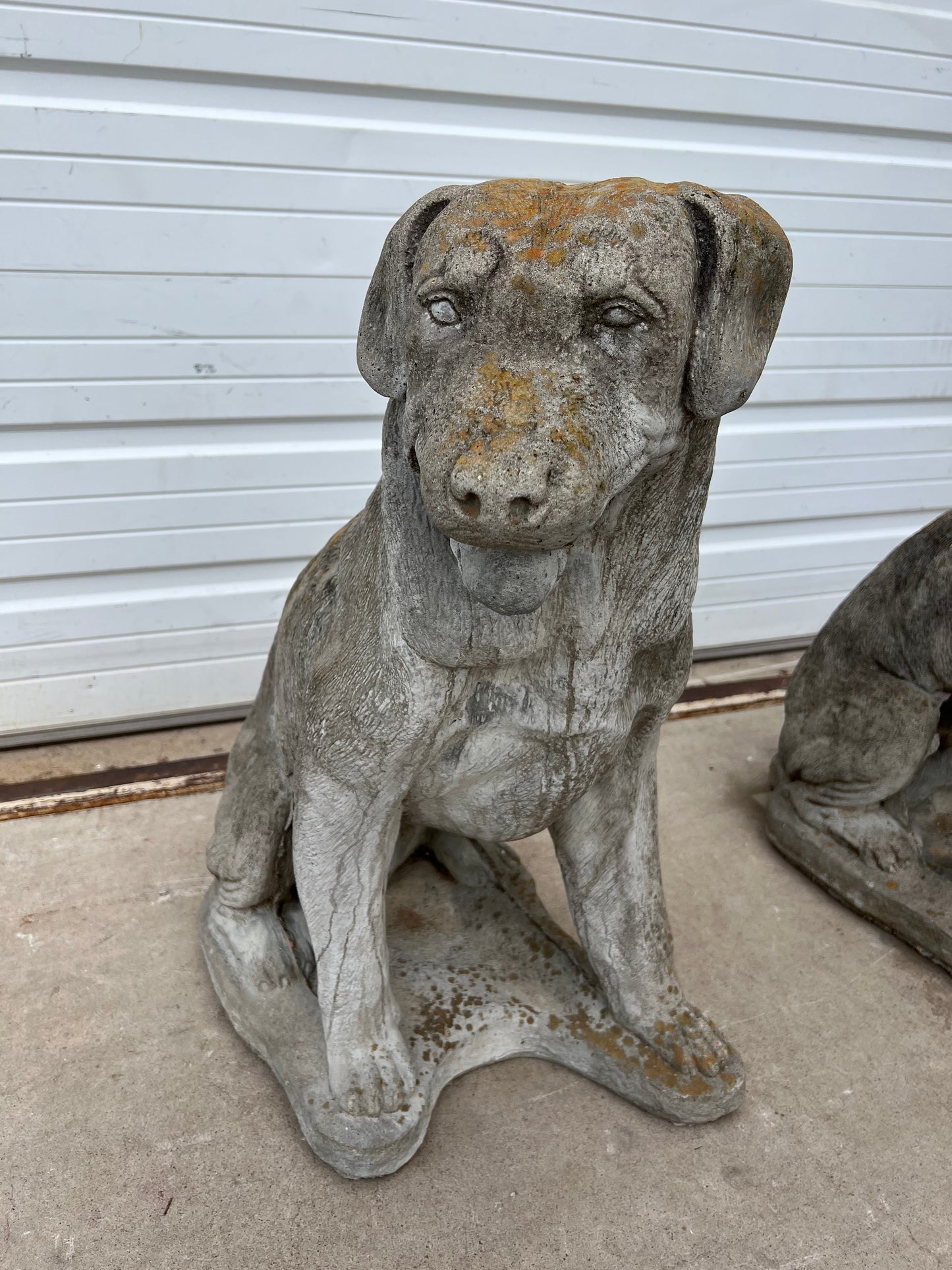 English Concrete Labrador Dog Statue