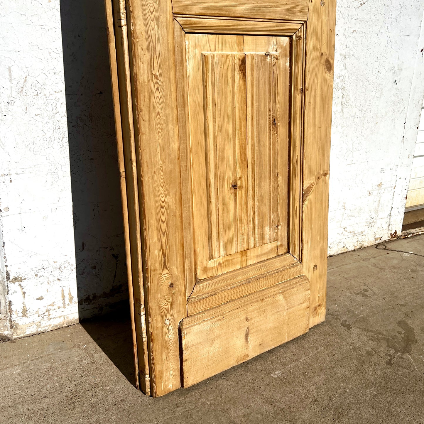 Single Wood French Door w/20 Glass Lites