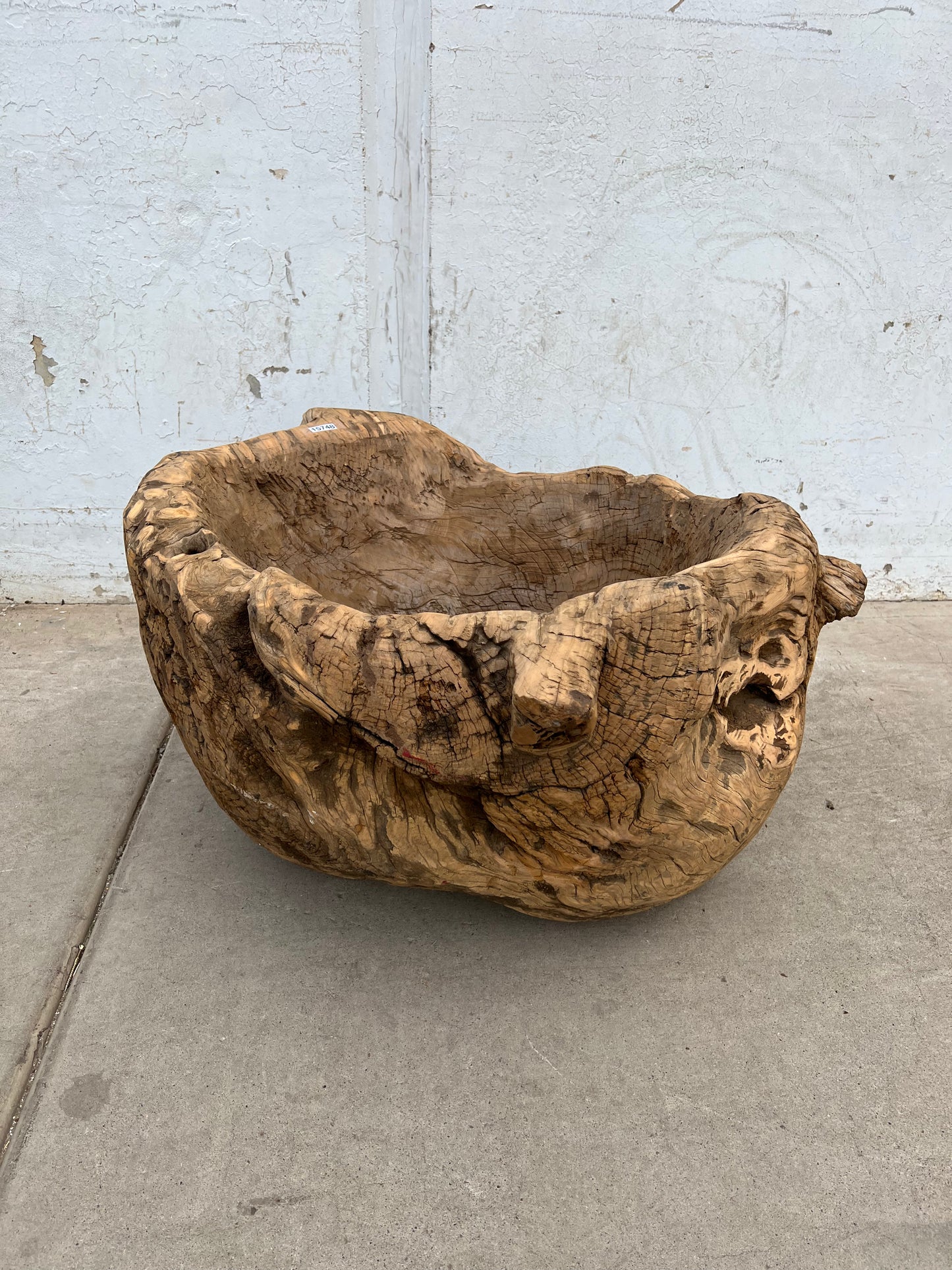 XXL Carved Wood Bowl/Planter