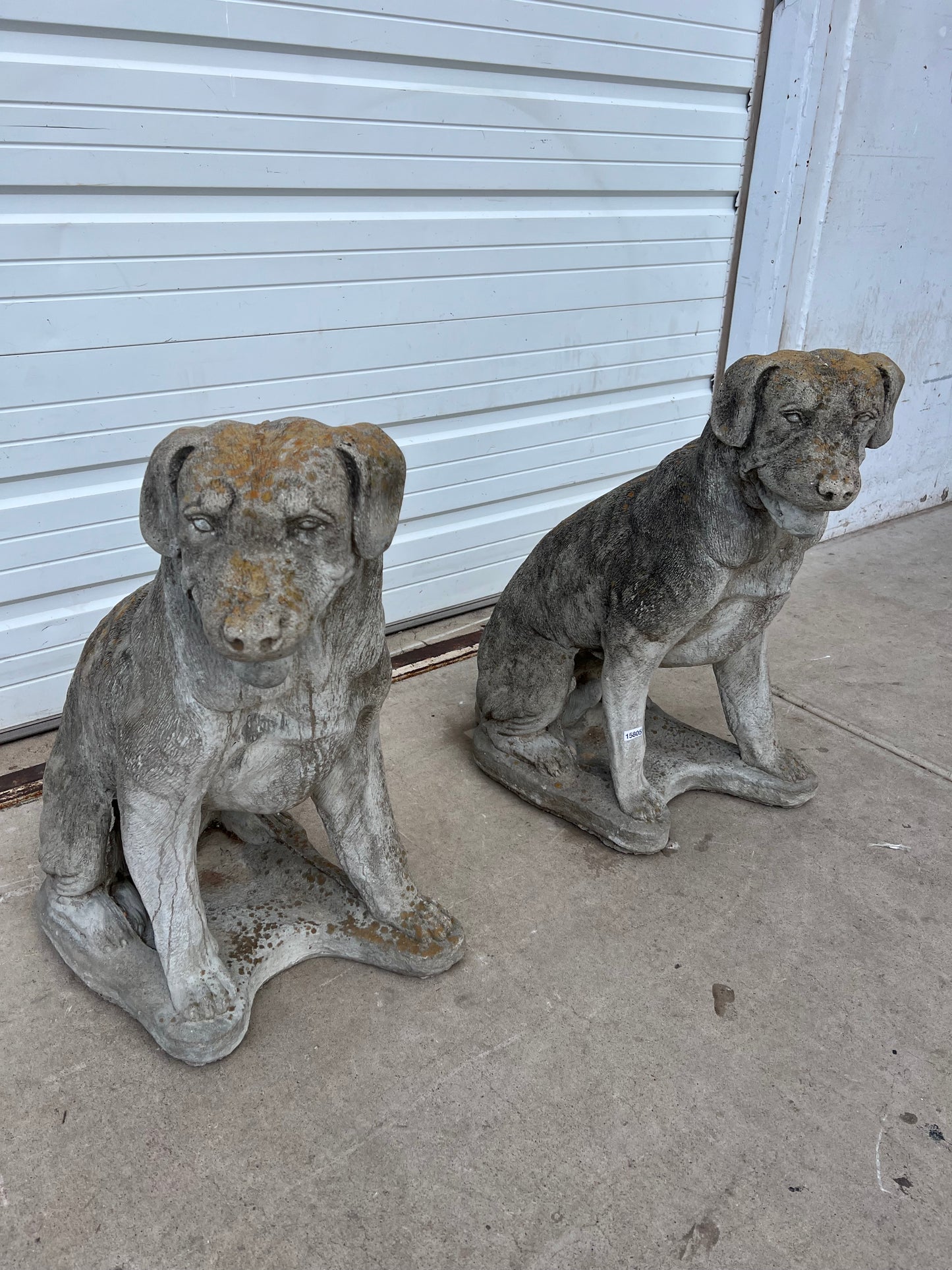 English Concrete Labrador Dog Statue