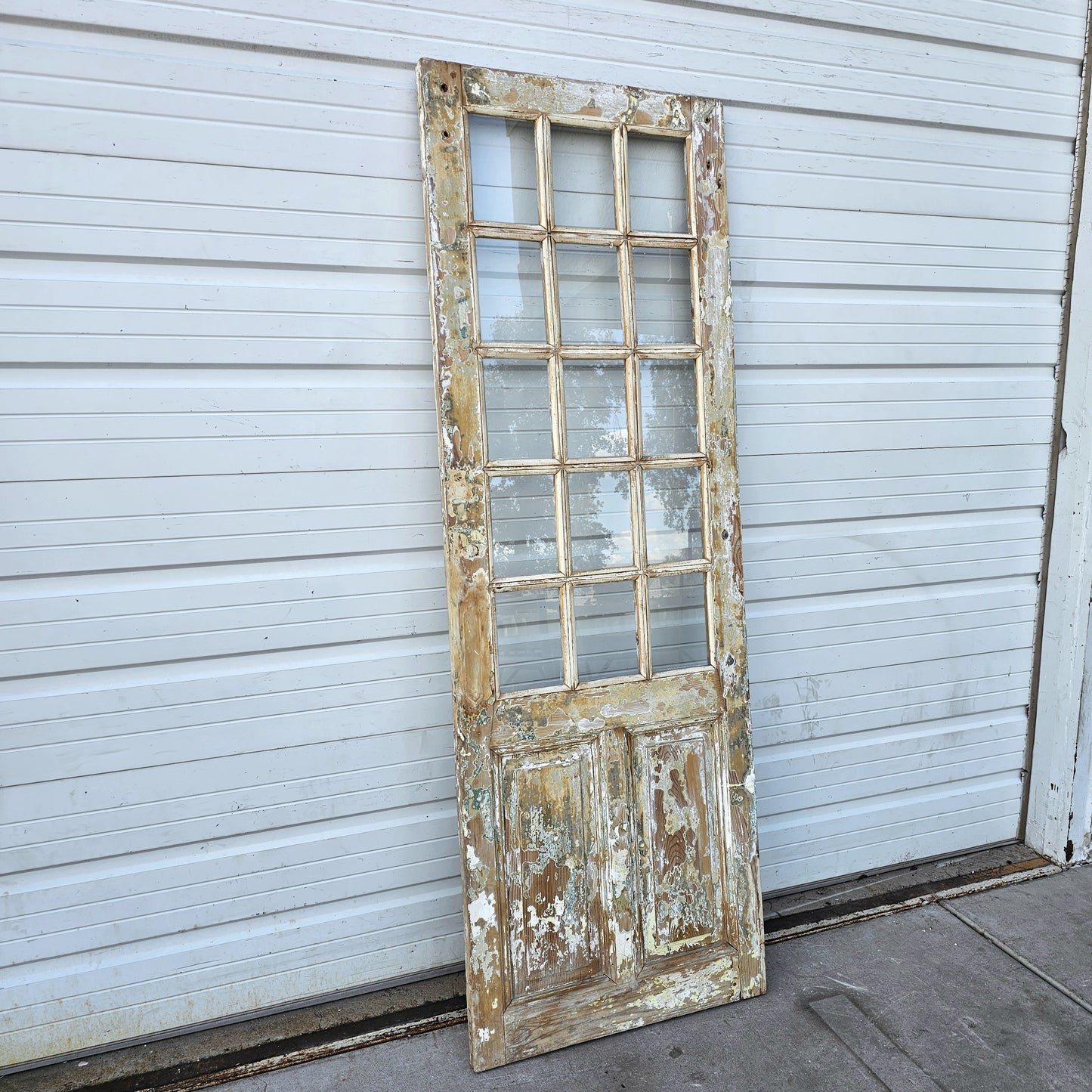 Single 15-Lite French Door