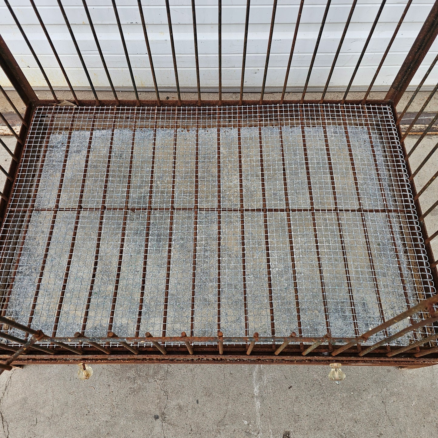 Large Iron Parrot Cage