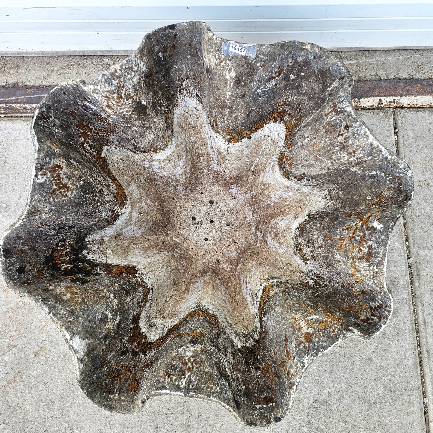Large Willy Guhl Organic Planter