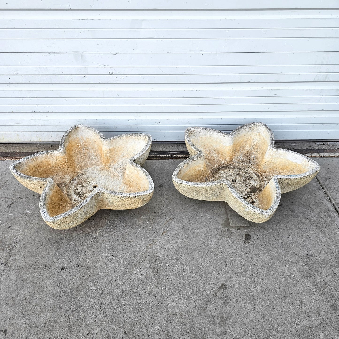 Single Large French Concrete Star Planters