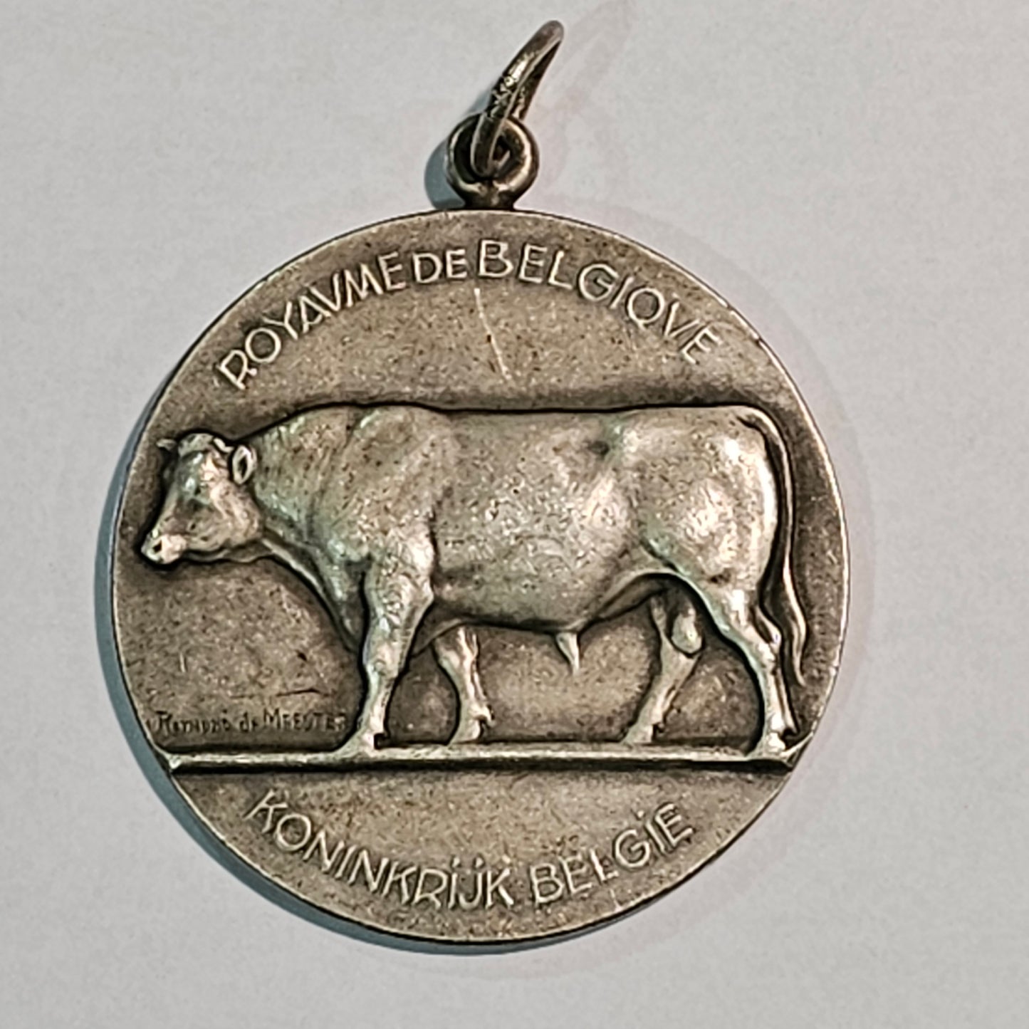 Belgium Ministry of Agriculture Bull Medal by J. Witterwulghe