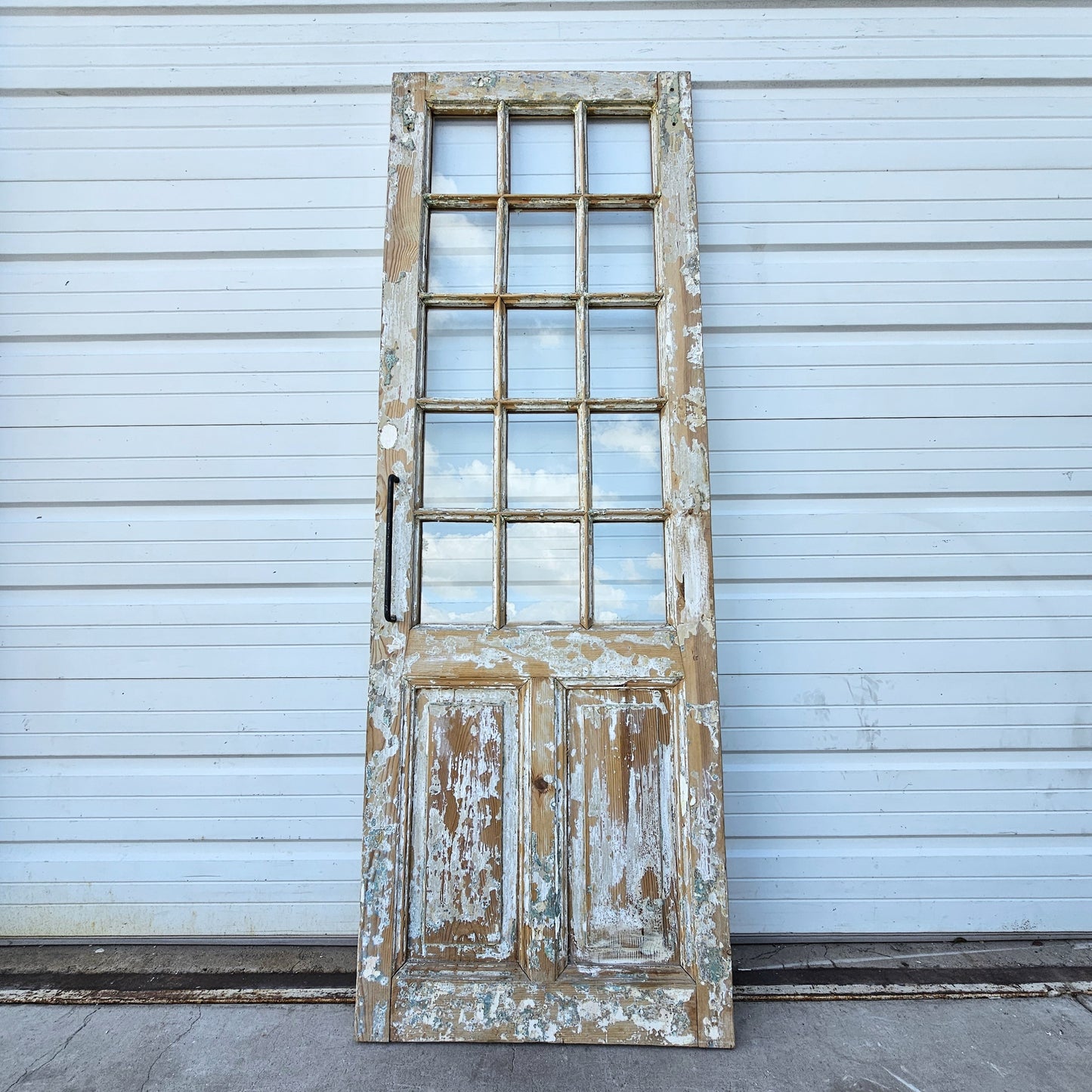 Single 15-Lite French Door