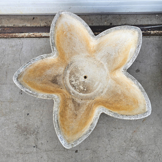 Single Large French Concrete Star Planters