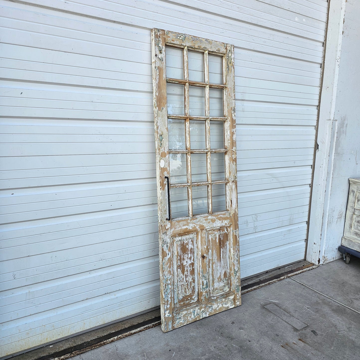 Single 15-Lite French Door