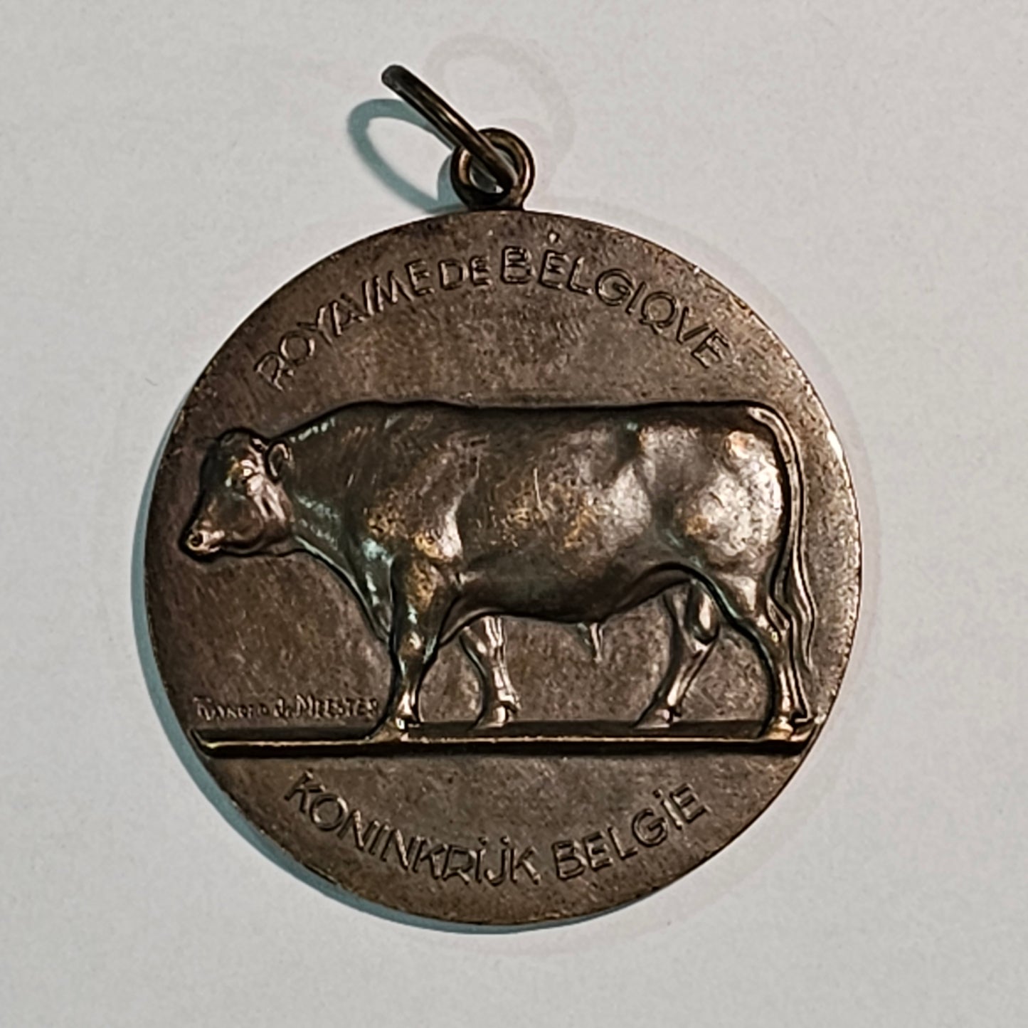Belgium Ministry of Agriculture Bull Medal by J. Witterwulghe