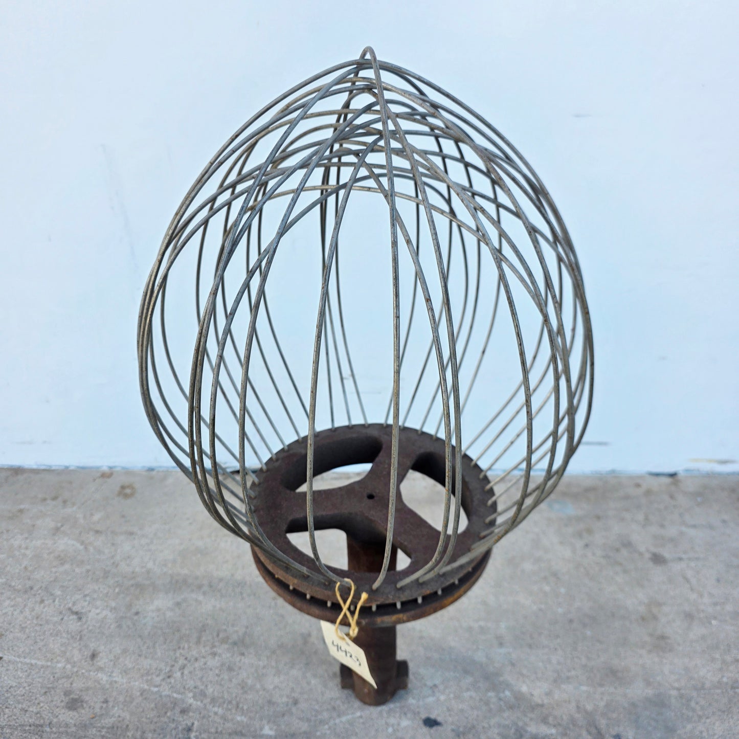 Whisk large