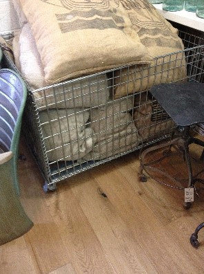 Basket, collapsable, SS