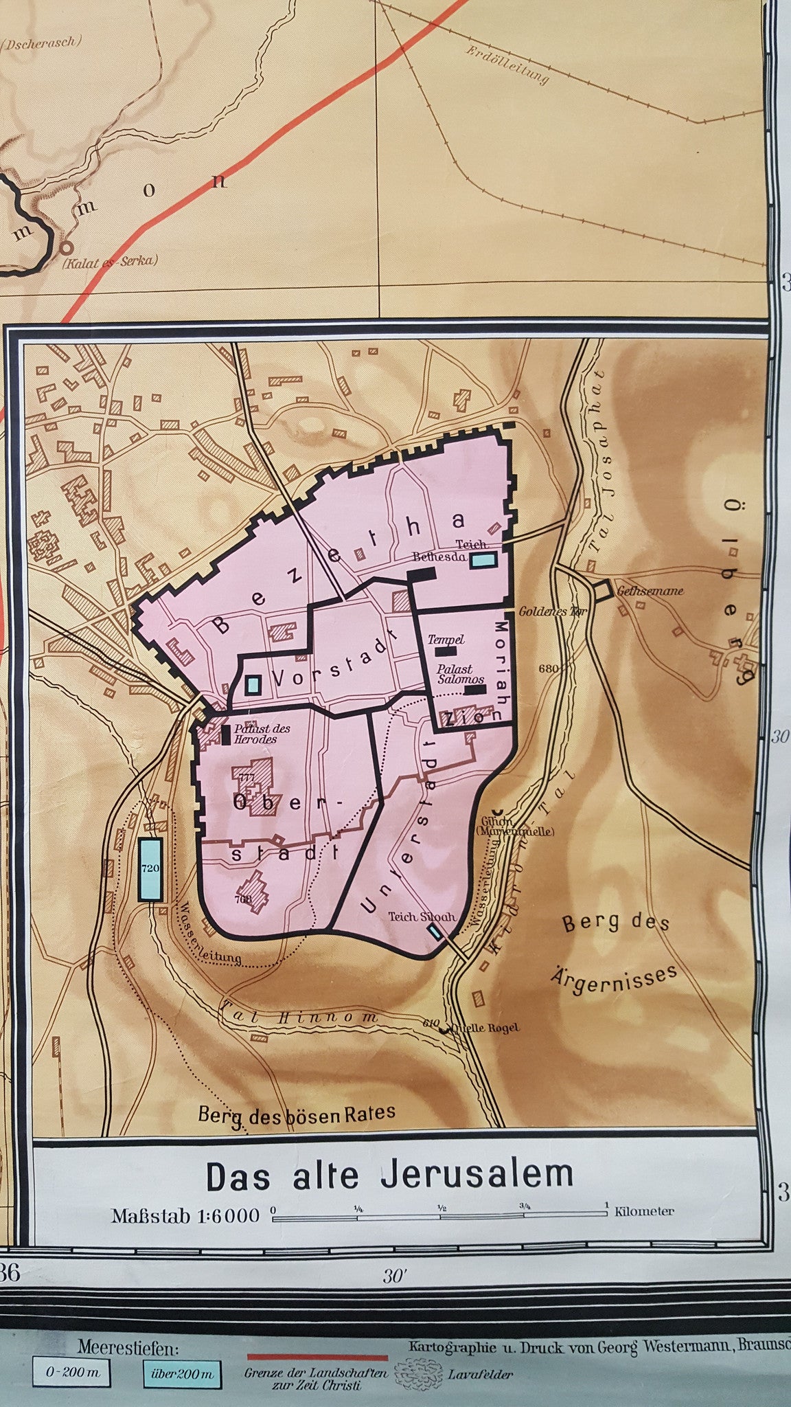 Barn Wood Framed Palestine Map