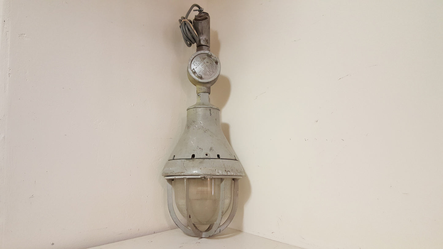 Industrial Pivoting Cage Light