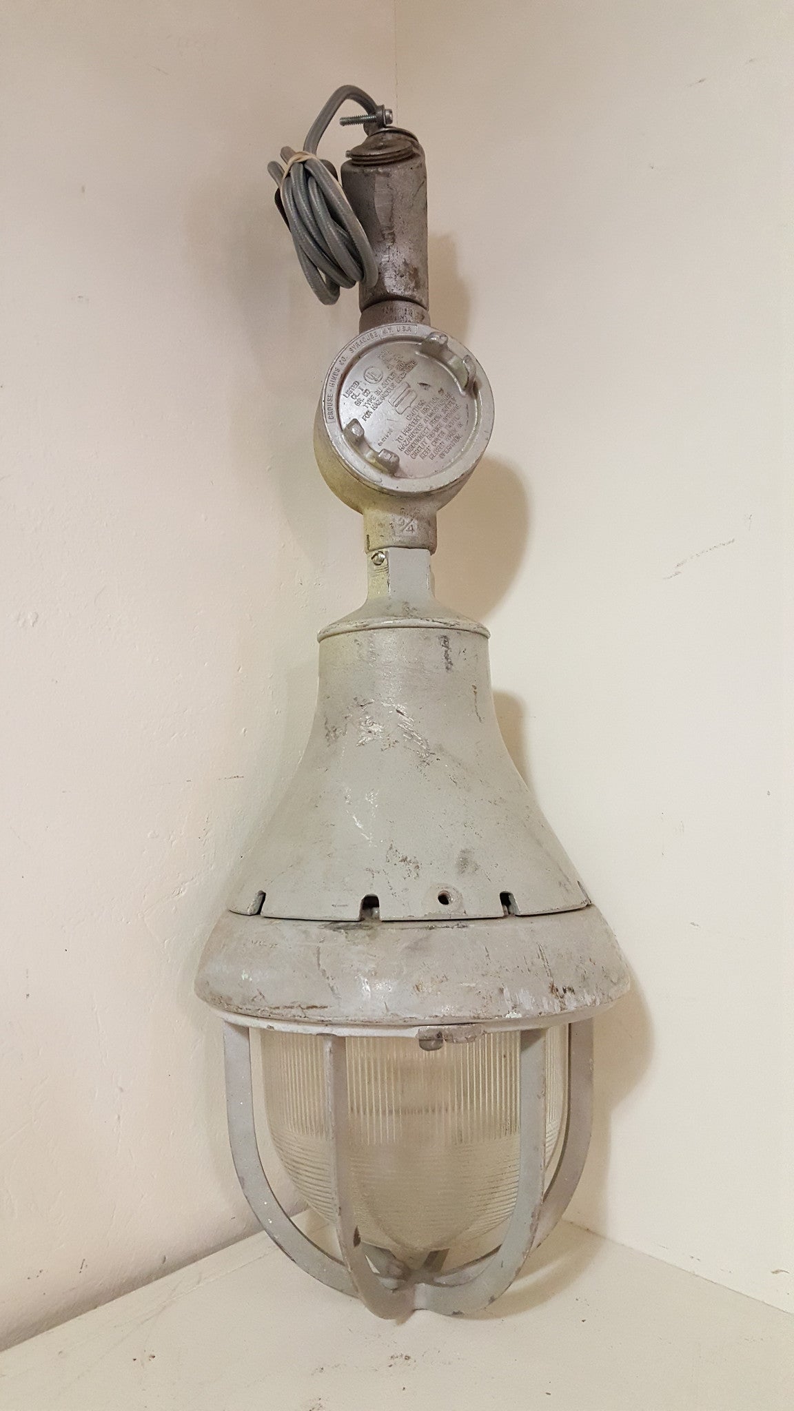 Industrial Pivoting Cage Light