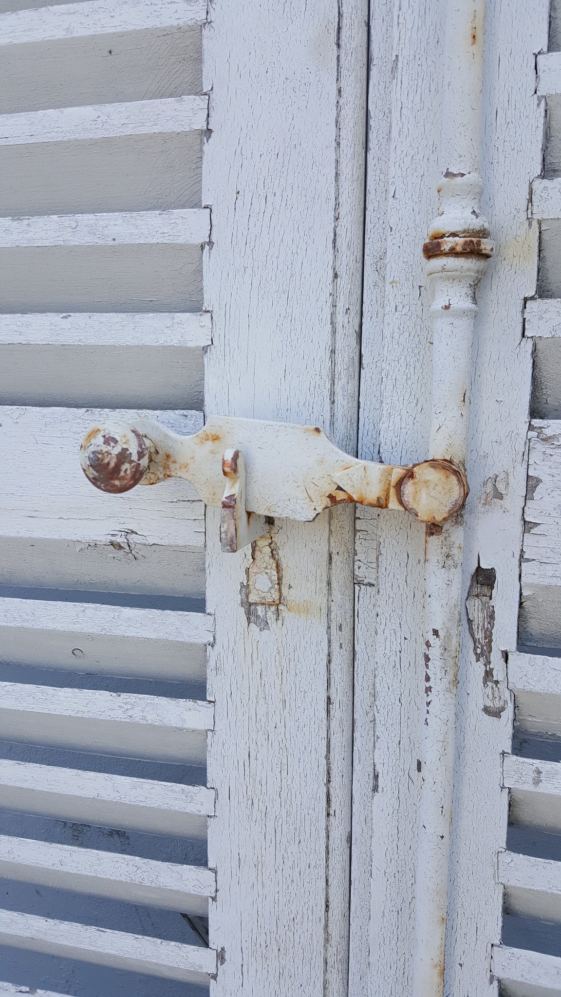 Pair of French Oak Shutters
