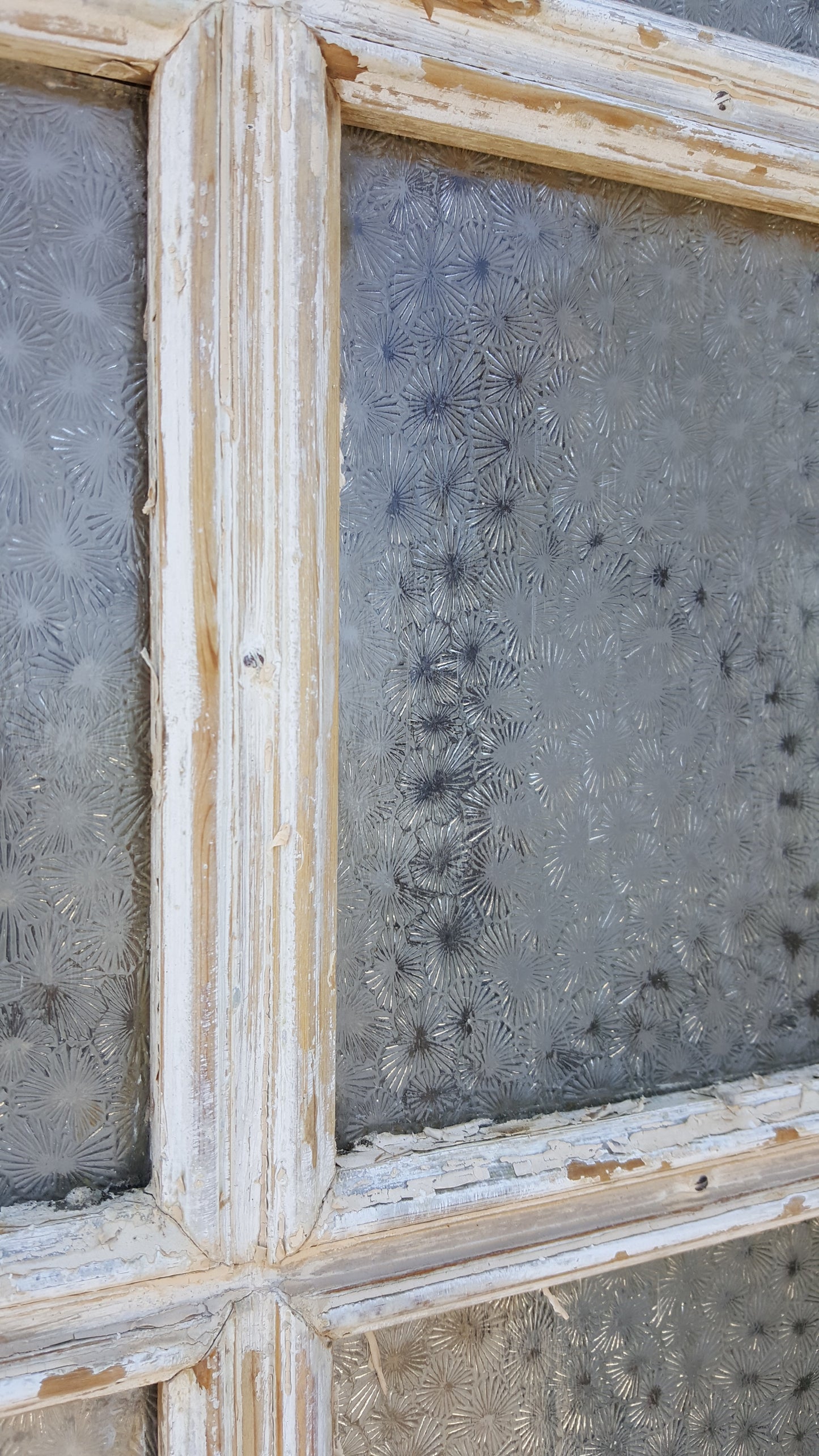 Pair of 16 Lite Washed Wood French Doors