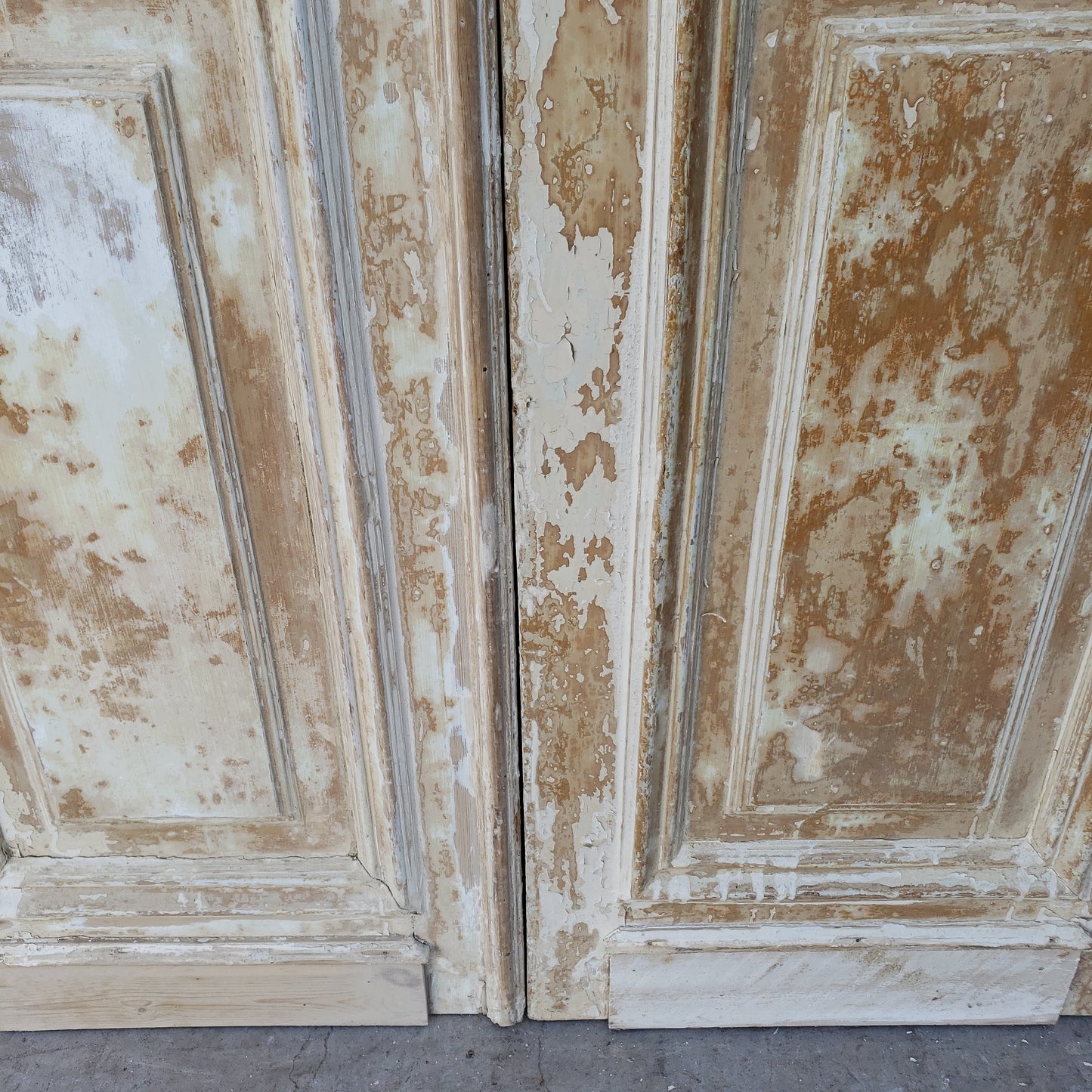 Pair of Washed Wood Single Lite Carved Antique Doors