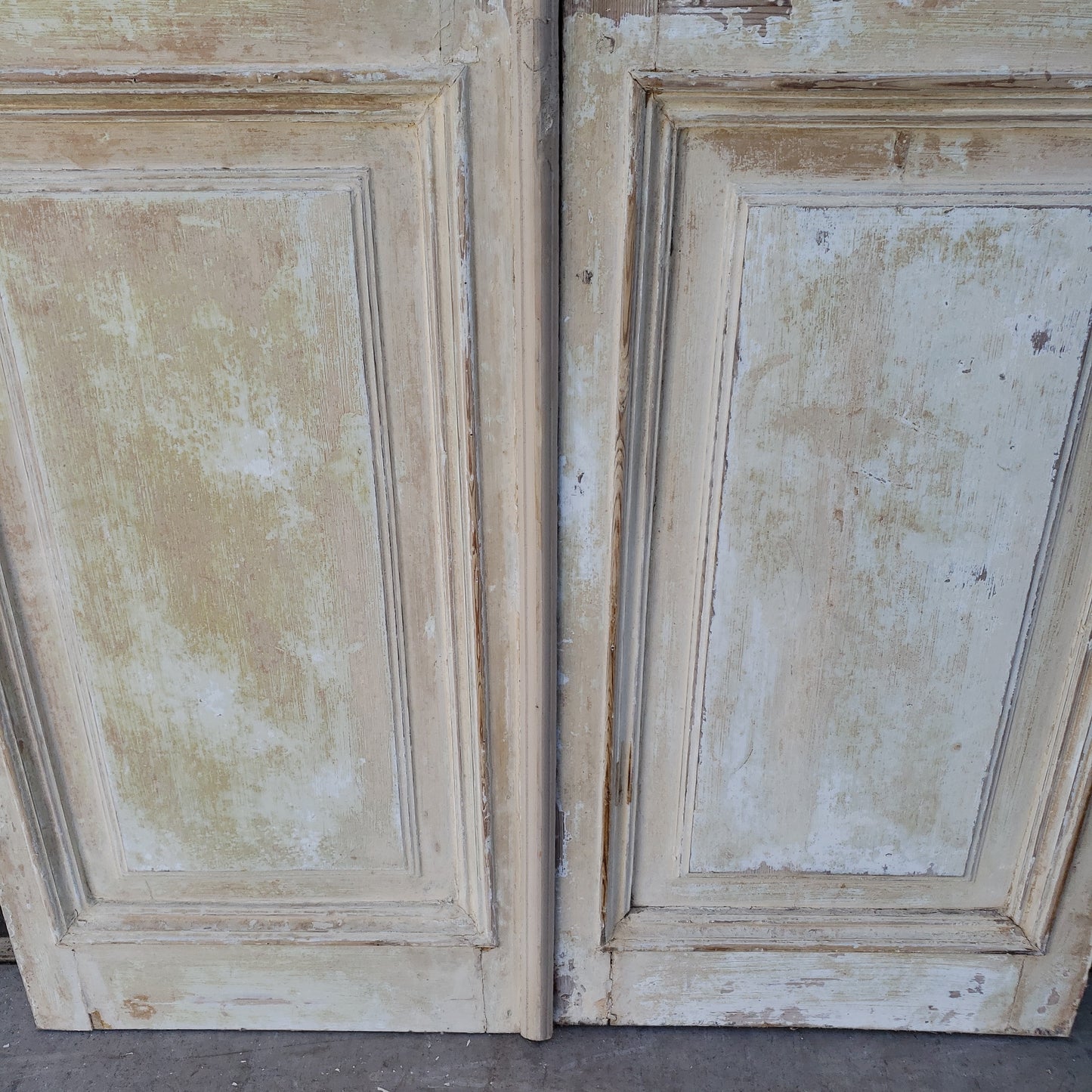 Pair of Washed Wood Single Lite Carved Antique Doors