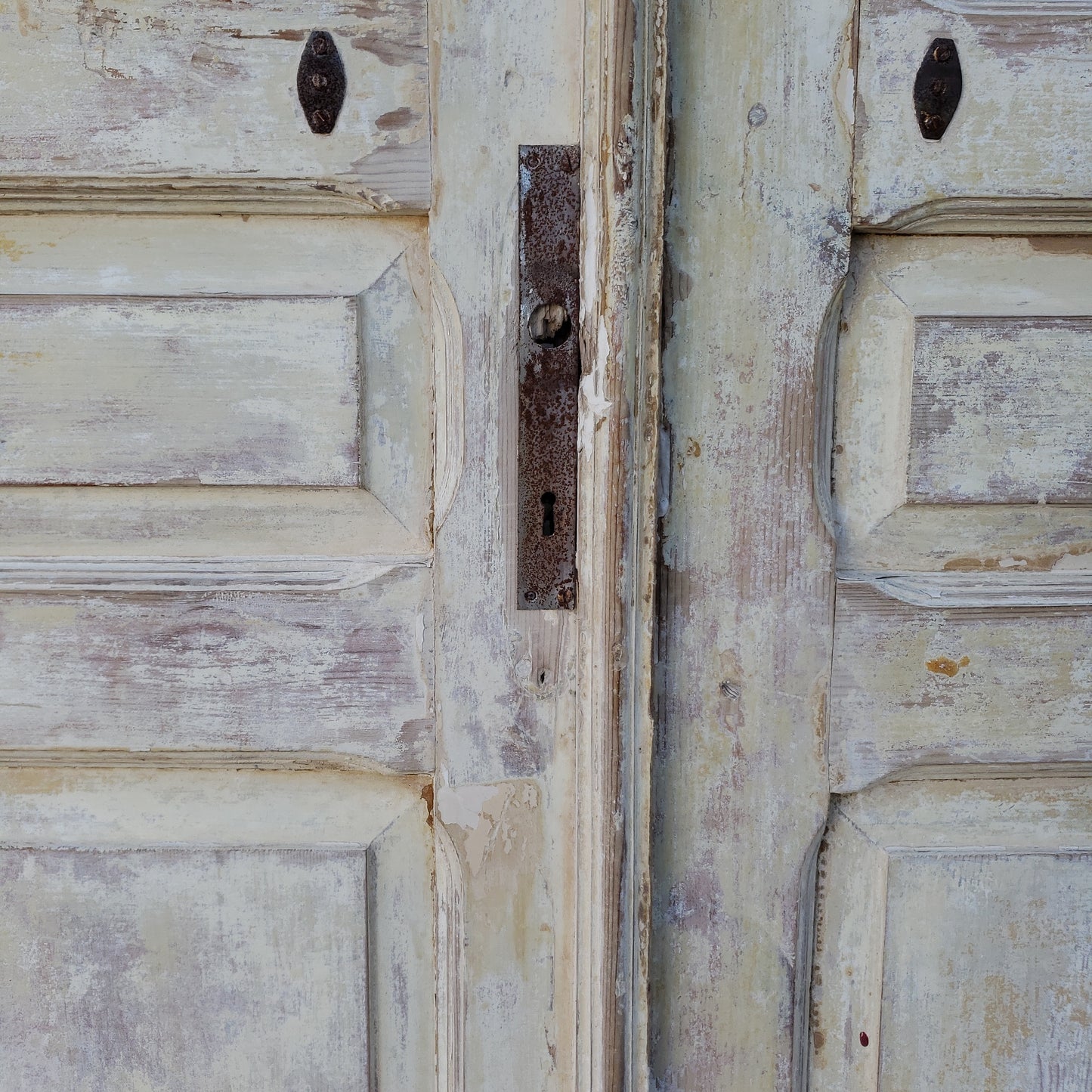 Pair of 10 Lite Washed Wood Antique Doors