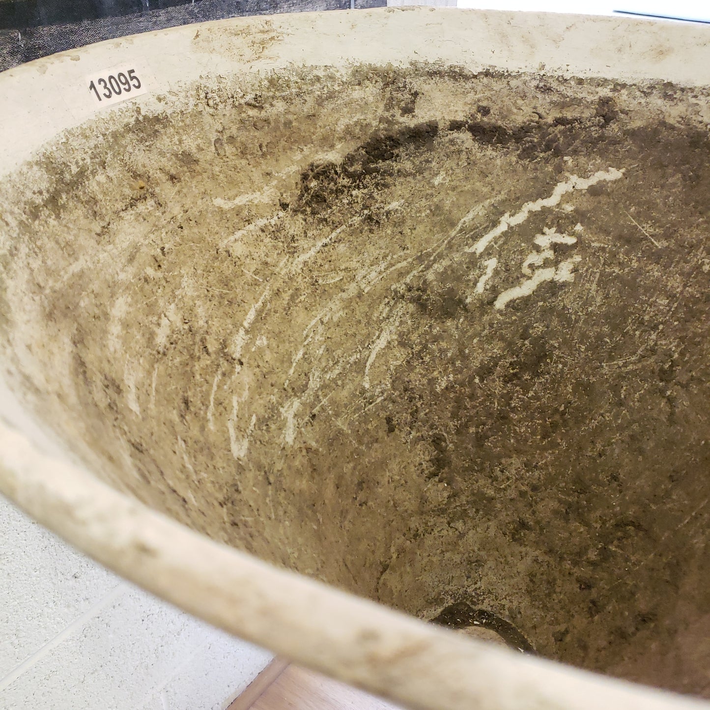 Large Willy Guhl Diablo Planter